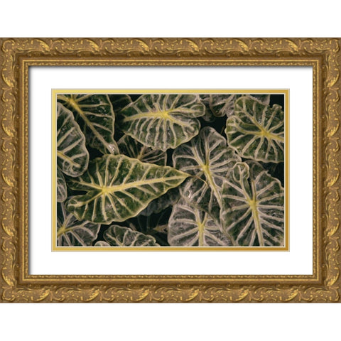 Greenery Abounds Gold Ornate Wood Framed Art Print with Double Matting by Aledanda
