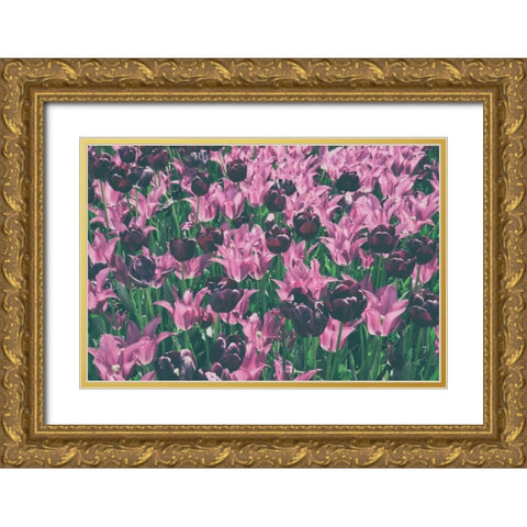 Tulip Botanical Gold Ornate Wood Framed Art Print with Double Matting by Aledanda