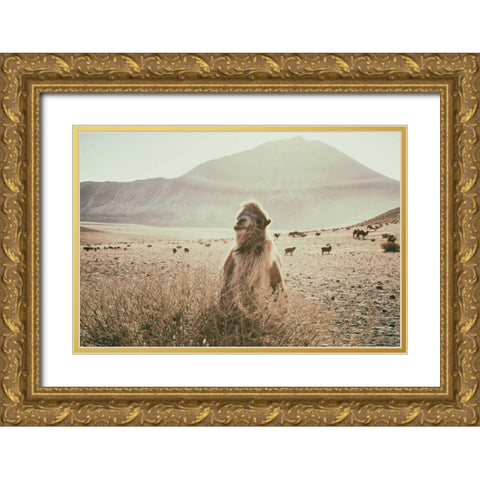 Desert Camel Gold Ornate Wood Framed Art Print with Double Matting by Aledanda