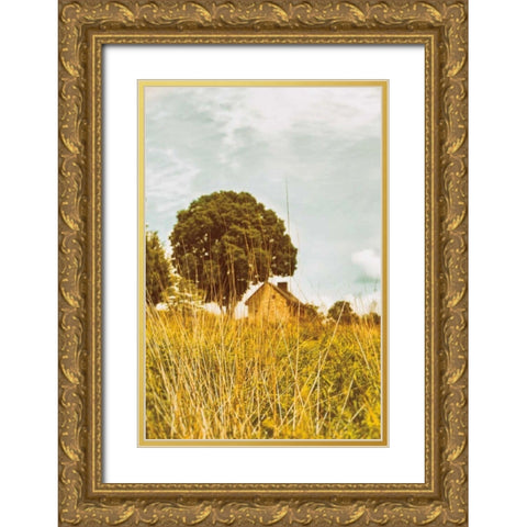 Grass and Sky Gold Ornate Wood Framed Art Print with Double Matting by Aledanda