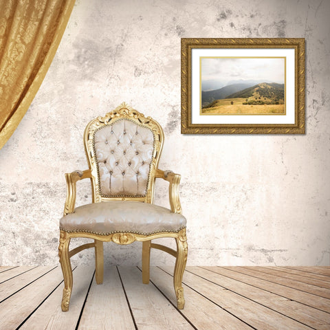 Grassy Hills and Mountains Gold Ornate Wood Framed Art Print with Double Matting by Aledanda