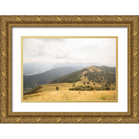 Grassy Hills and Mountains Gold Ornate Wood Framed Art Print with Double Matting by Aledanda