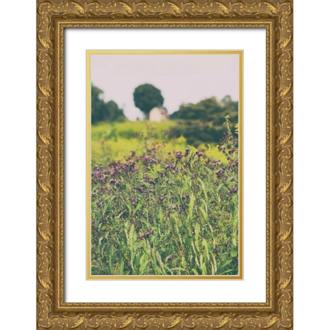 Roadside Flowers Gold Ornate Wood Framed Art Print with Double Matting by Aledanda