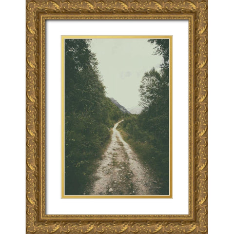 The Path We Followed Gold Ornate Wood Framed Art Print with Double Matting by Aledanda