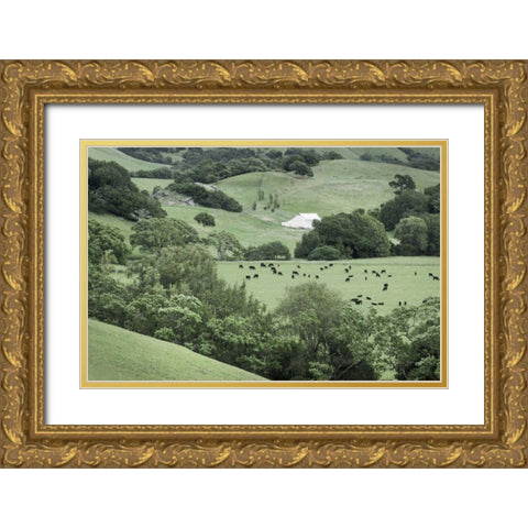 Marin California Ranch Gold Ornate Wood Framed Art Print with Double Matting by Majchrowicz, Alan