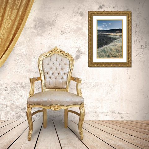 Columbia River Gorge Gold Ornate Wood Framed Art Print with Double Matting by Majchrowicz, Alan