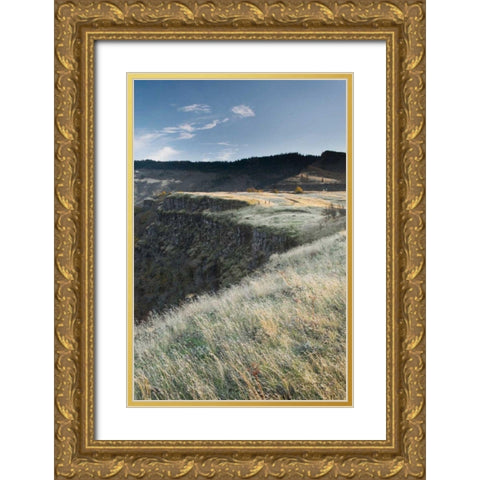 Columbia River Gorge Gold Ornate Wood Framed Art Print with Double Matting by Majchrowicz, Alan