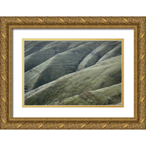 Columbia Plateau Oregon Gold Ornate Wood Framed Art Print with Double Matting by Majchrowicz, Alan