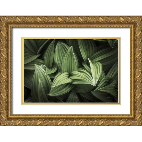 Corn Lily I Gold Ornate Wood Framed Art Print with Double Matting by Majchrowicz, Alan