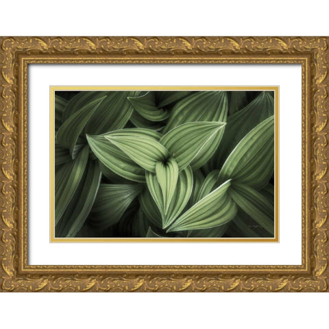 Corn Lily II Gold Ornate Wood Framed Art Print with Double Matting by Majchrowicz, Alan
