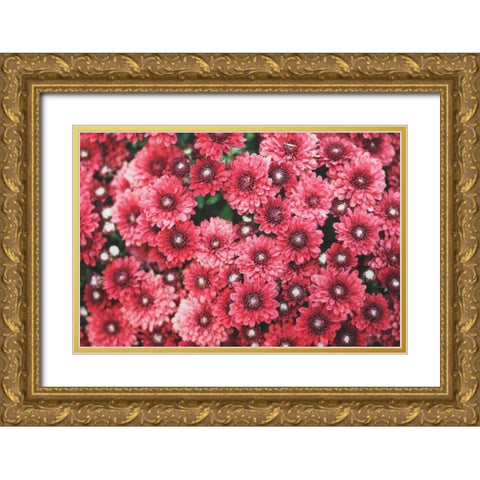 Autumn Flowers I Gold Ornate Wood Framed Art Print with Double Matting by Marshall, Laura