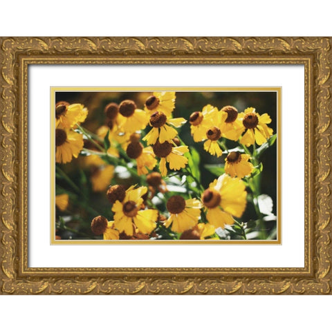 Autumn Flowers II Gold Ornate Wood Framed Art Print with Double Matting by Marshall, Laura