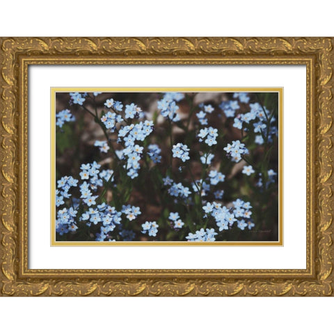 Forget Me Nots II Gold Ornate Wood Framed Art Print with Double Matting by Marshall, Laura