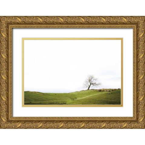 Dales Way I Gold Ornate Wood Framed Art Print with Double Matting by Marshall, Laura