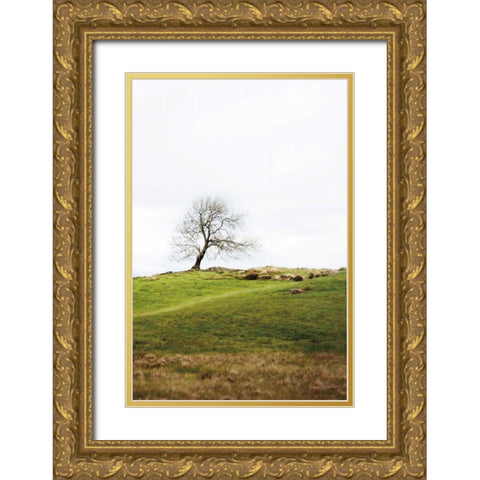 Dales Way II Gold Ornate Wood Framed Art Print with Double Matting by Marshall, Laura