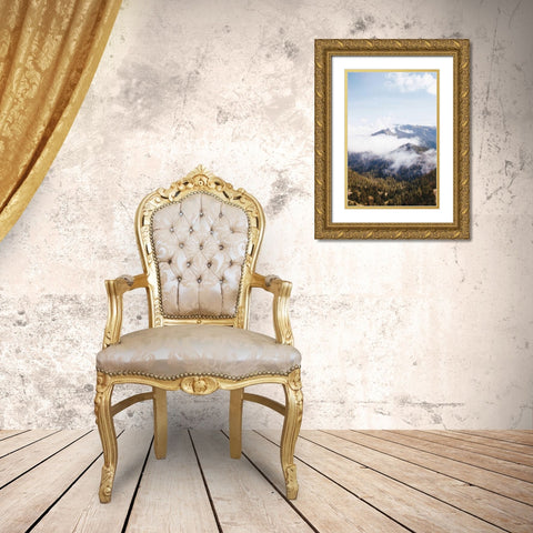 Hurricane Ridge I Gold Ornate Wood Framed Art Print with Double Matting by Marshall, Laura