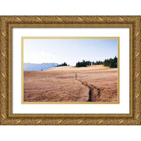 Hurricane Hill I Gold Ornate Wood Framed Art Print with Double Matting by Marshall, Laura