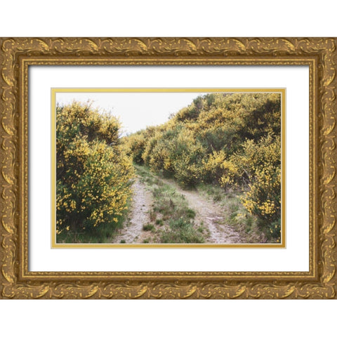 Scottish Highlands II Gold Ornate Wood Framed Art Print with Double Matting by Marshall, Laura