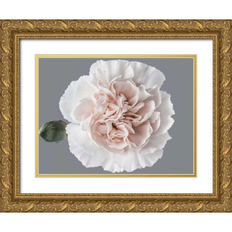 Blush Carnation Gold Ornate Wood Framed Art Print with Double Matting by Catterall, Elise