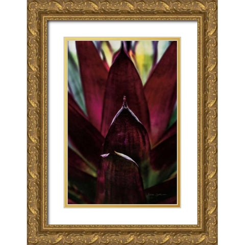 Succulent Detail I Gold Ornate Wood Framed Art Print with Double Matting by Catterall, Elise
