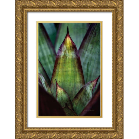 Succulent Detail II Gold Ornate Wood Framed Art Print with Double Matting by Catterall, Elise