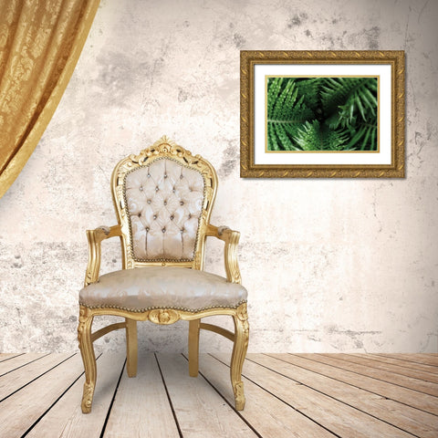 Fern Detail Gold Ornate Wood Framed Art Print with Double Matting by Catterall, Elise