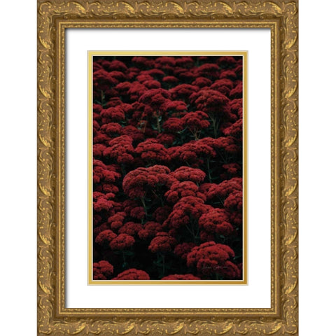 Sedum Gold Ornate Wood Framed Art Print with Double Matting by Catterall, Elise