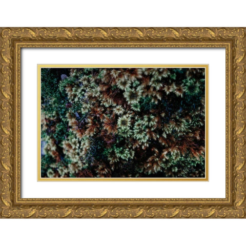 Moss Detail Gold Ornate Wood Framed Art Print with Double Matting by Catterall, Elise