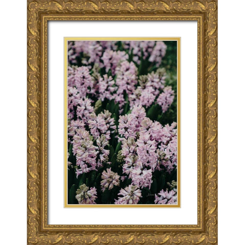 Hyacinth Closeup Gold Ornate Wood Framed Art Print with Double Matting by Catterall, Elise
