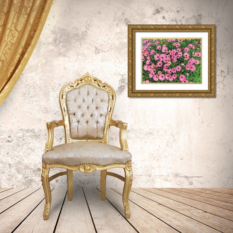 Pink Spring Gold Ornate Wood Framed Art Print with Double Matting by Goldstein, Ed