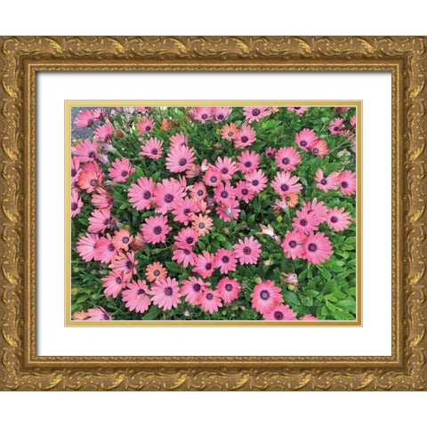 Pink Spring Gold Ornate Wood Framed Art Print with Double Matting by Goldstein, Ed