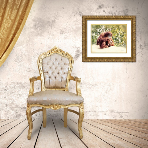 Orangutan Gold Ornate Wood Framed Art Print with Double Matting by Van Swearingen, Debra