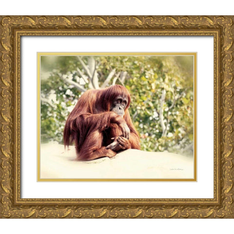 Orangutan Gold Ornate Wood Framed Art Print with Double Matting by Van Swearingen, Debra
