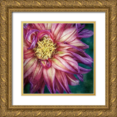 Dahlia I Gold Ornate Wood Framed Art Print with Double Matting by Van Swearingen, Debra