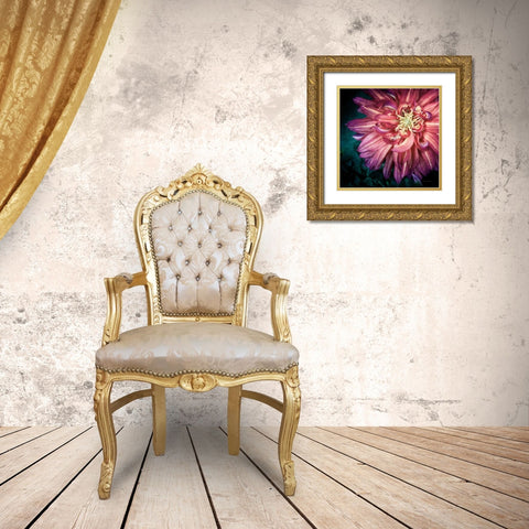 Dahlia II Gold Ornate Wood Framed Art Print with Double Matting by Van Swearingen, Debra