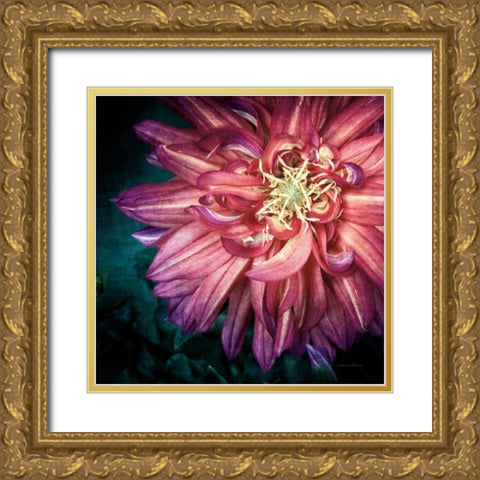 Dahlia II Gold Ornate Wood Framed Art Print with Double Matting by Van Swearingen, Debra