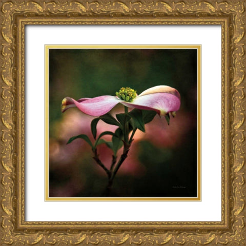 Pink Dogwood I Gold Ornate Wood Framed Art Print with Double Matting by Van Swearingen, Debra