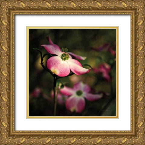 Pink Dogwood II Gold Ornate Wood Framed Art Print with Double Matting by Van Swearingen, Debra