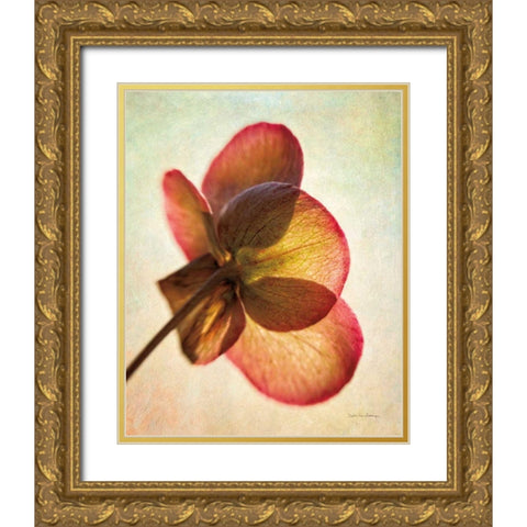 Lenton Rose I Gold Ornate Wood Framed Art Print with Double Matting by Van Swearingen, Debra