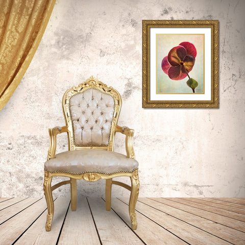 Lenton Rose II Gold Ornate Wood Framed Art Print with Double Matting by Van Swearingen, Debra