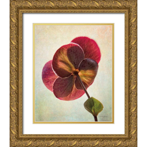 Lenton Rose II Gold Ornate Wood Framed Art Print with Double Matting by Van Swearingen, Debra