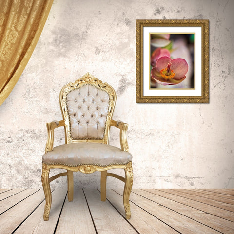 Lenton Rose III Gold Ornate Wood Framed Art Print with Double Matting by Van Swearingen, Debra