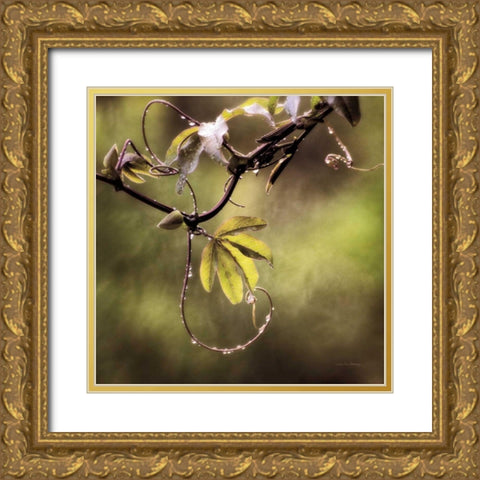 Passion Flower Vine I Gold Ornate Wood Framed Art Print with Double Matting by Van Swearingen, Debra