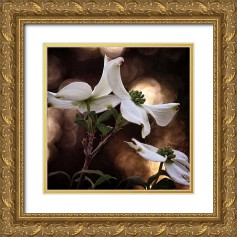 White Dogwood I Gold Ornate Wood Framed Art Print with Double Matting by Van Swearingen, Debra
