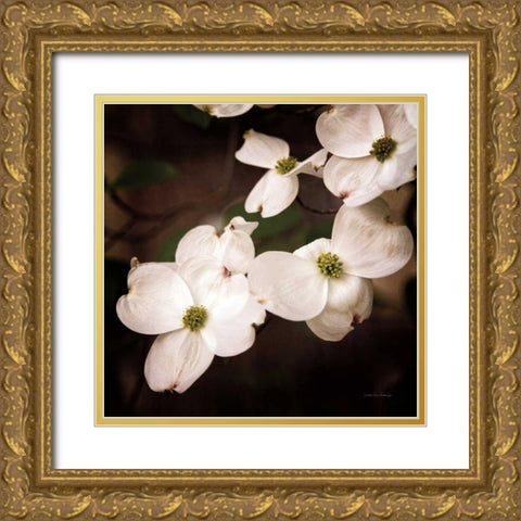 White Dogwood III Gold Ornate Wood Framed Art Print with Double Matting by Van Swearingen, Debra