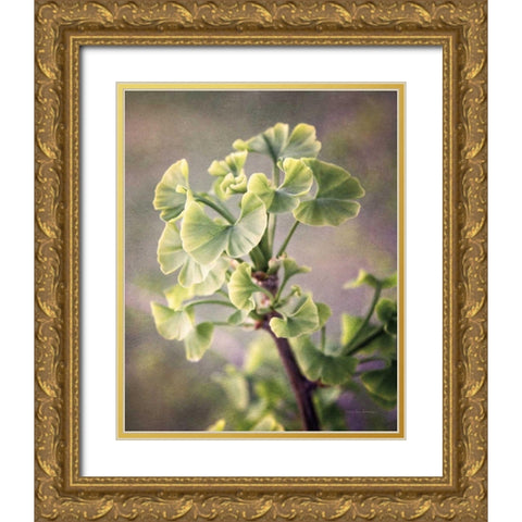 Sprouting Ginkgo I Gold Ornate Wood Framed Art Print with Double Matting by Van Swearingen, Debra