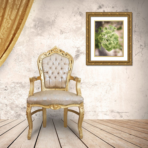 Sprouting Ginkgo II Gold Ornate Wood Framed Art Print with Double Matting by Van Swearingen, Debra