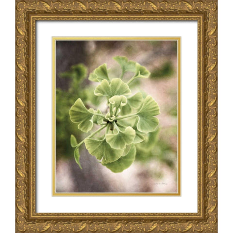 Sprouting Ginkgo II Gold Ornate Wood Framed Art Print with Double Matting by Van Swearingen, Debra