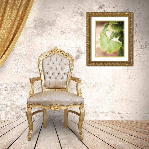 Sprouting Ginkgo III Gold Ornate Wood Framed Art Print with Double Matting by Van Swearingen, Debra