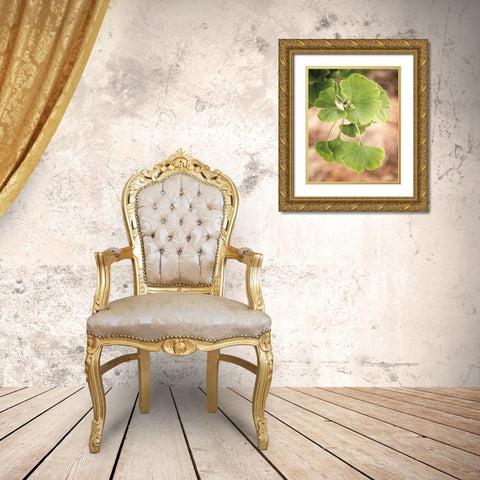 Sprouting Ginkgo IV Gold Ornate Wood Framed Art Print with Double Matting by Van Swearingen, Debra